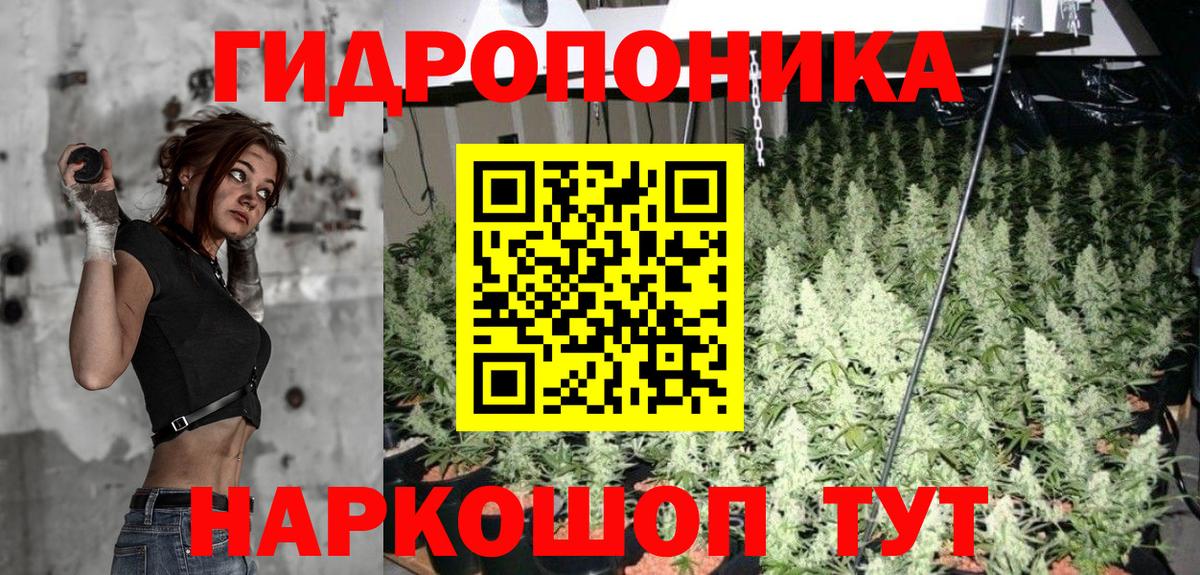 Бошки марихуана MAZAR  Вход с VPN  Марихуана марихуана  Шишки марихуана сатива  Скопин  Канабис тримм 